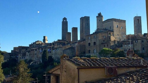 Private Guided Tour in San Gimignano