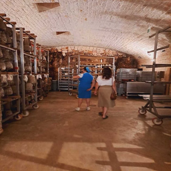 Picture 4 for Activity From Bari: Cheese experience in a local dairy farm