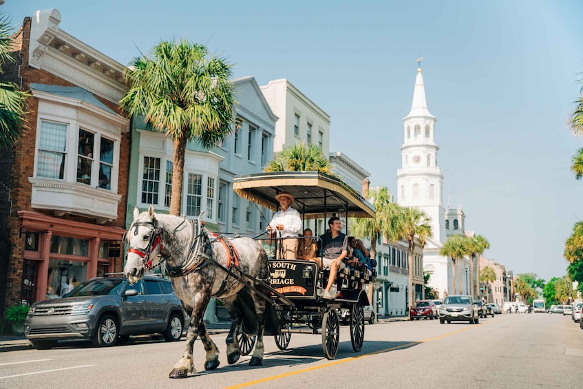 Picture 3 for Activity Charleston: Historical Downtown Tour by Horse-drawn Carriage