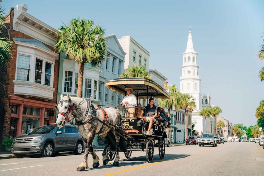 Picture 3 for Activity Charleston: Historical Downtown Tour by Horse-drawn Carriage