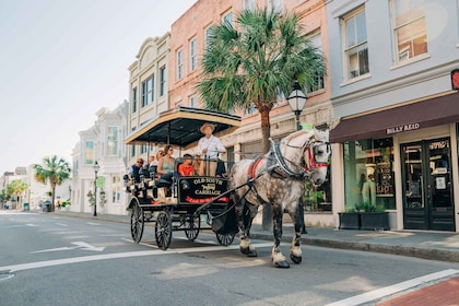 Charleston: Historisk rundtur i sentrum med hestevogn