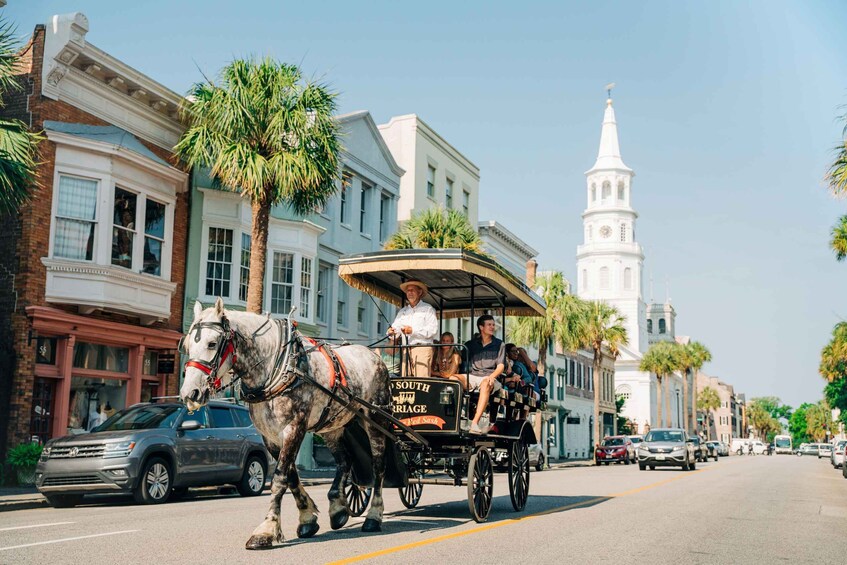 Picture 3 for Activity Charleston: Historical Downtown Tour by Horse-drawn Carriage