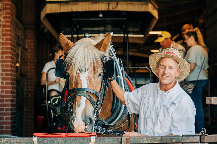 Picture 2 for Activity Charleston: Historical Downtown Tour by Horse-drawn Carriage