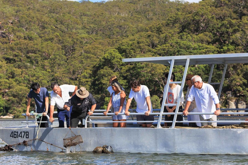 Picture 3 for Activity Oyster & Pearl Lovers Tour
