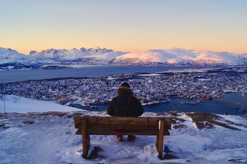 Picture 7 for Activity Tromso: Arctic Panorama Cable Car Excursion