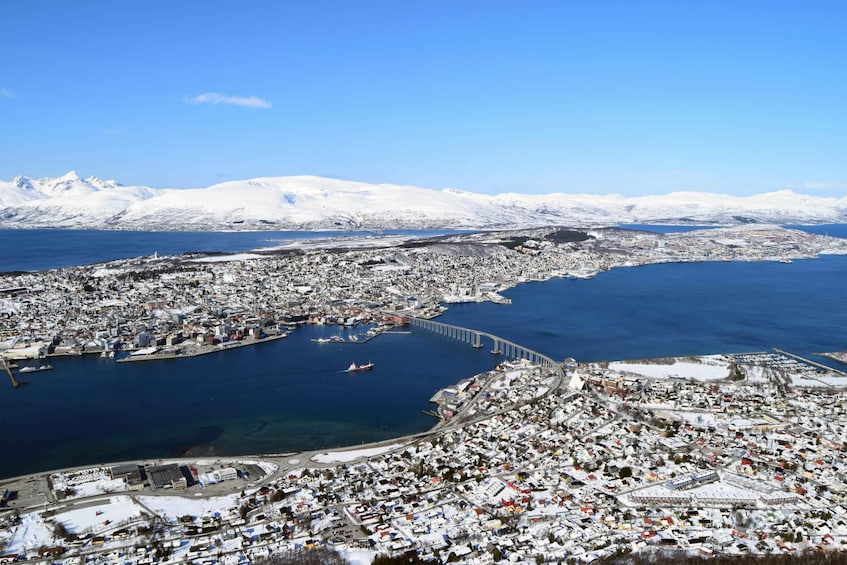 Picture 6 for Activity Tromso: Arctic Panorama Cable Car Excursion