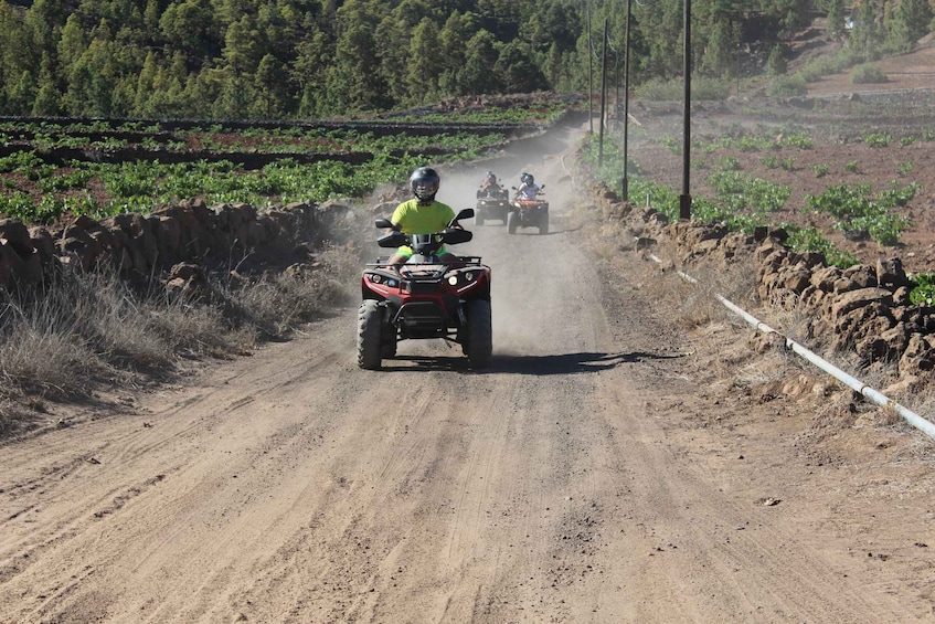 Picture 7 for Activity Tenerife: Teide National Park Quad Bike Tour