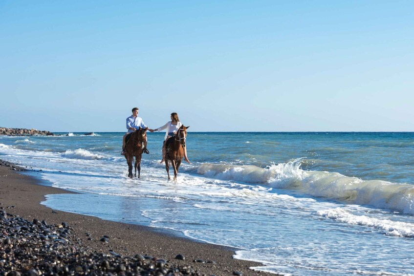 Picture 5 for Activity Santorini: Horse Riding Trip to Black Sandy Beach