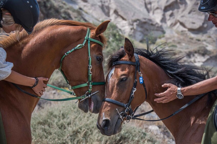 Picture 7 for Activity Santorini: Horse Riding Trip to Black Sandy Beach