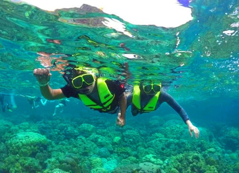 Picture 4 for Activity Krabi: Koh Rok & Koh Haa Hidden Snorkeling Tour by Speedboat