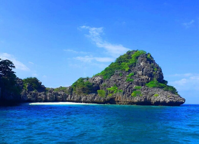 Picture 21 for Activity Krabi: Koh Rok & Koh Haa Hidden Snorkeling Tour by Speedboat