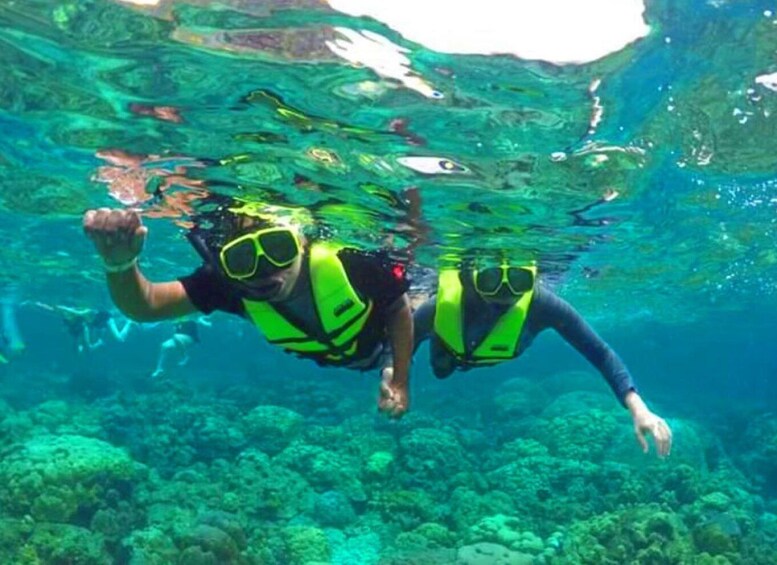 Picture 4 for Activity Krabi: Koh Rok & Koh Haa Hidden Snorkeling Tour by Speedboat