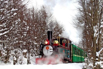 Parque Nacional Tierra del Fuego de medio día con tren