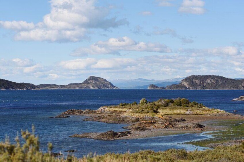 Half-Day Tierra del Fuego National Park with Train