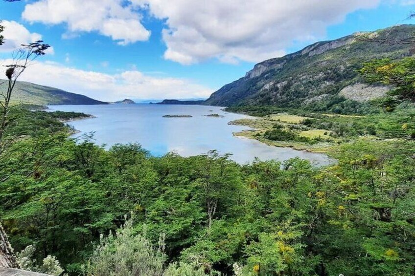 Half-Day Tierra del Fuego National Park with Train