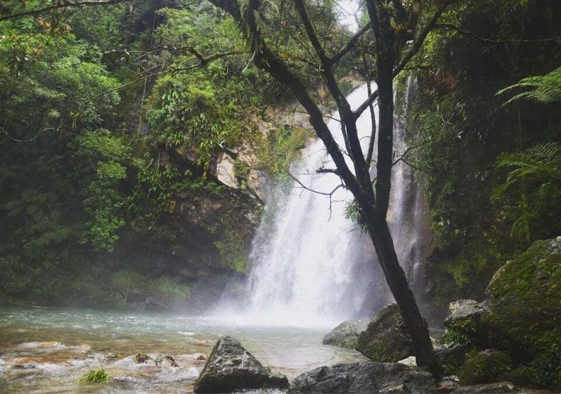 Picture 1 for Activity Cuetzalan: Waterfalls and Grotto Tour