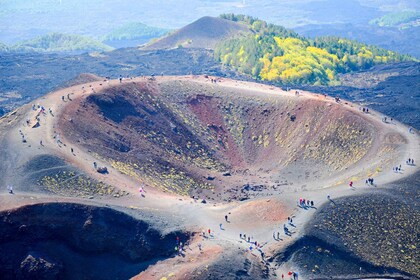 Catania: Etna privat tur med mad og vinsmagning