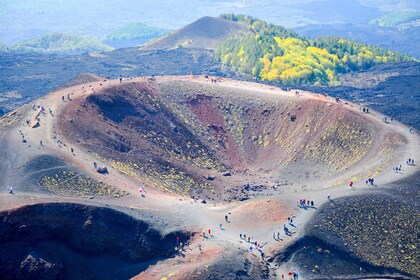 Catane: Mt. Visite privée de l'Etna avec dégustation de mets et de vins