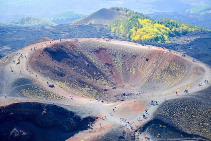 Catane: Mt. Visite privée de l'Etna avec dégustation de mets et de vins