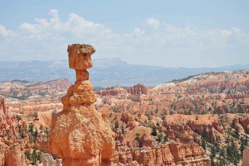 Picture 6 for Activity Bryce: Guided Sightseeing Tour of Bryce Canyon National Park