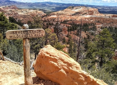Bryce: Guidet sightseeingtur i Bryce Canyon nasjonalpark