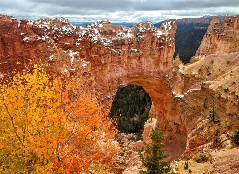 Picture 4 for Activity Bryce: Guided Sightseeing Tour of Bryce Canyon National Park