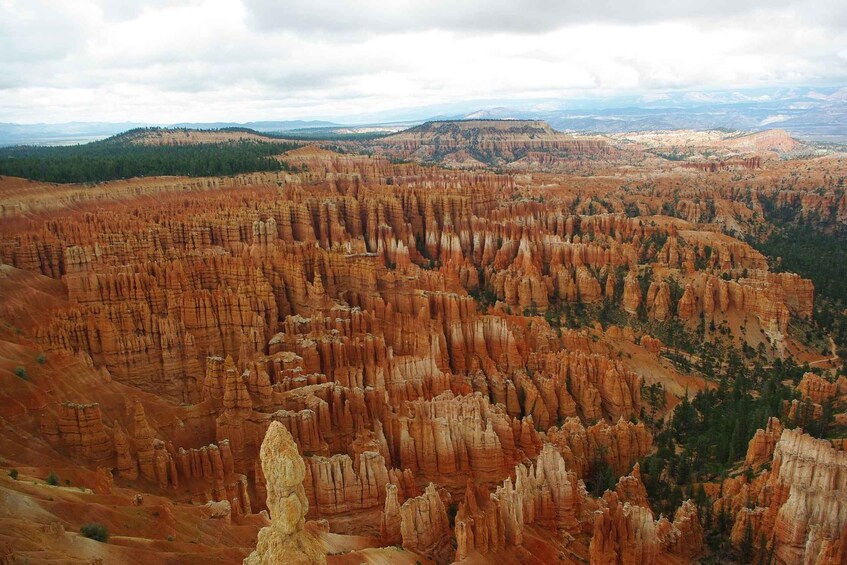 Picture 2 for Activity Bryce: Guided Sightseeing Tour of Bryce Canyon National Park