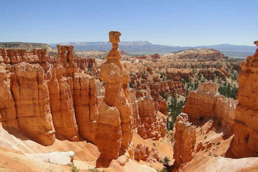 Picture 1 for Activity Bryce: Guided Sightseeing Tour of Bryce Canyon National Park