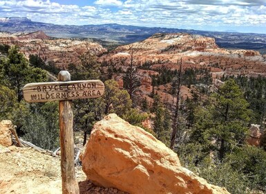 Bryce Visita guiada al Parque Nacional del Cañón Bryce