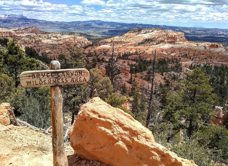 Bryce: Guided Sightseeing Tour of Bryce Canyon National Park