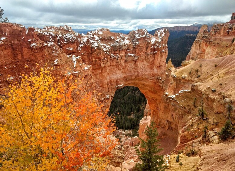 Picture 4 for Activity Bryce: Guided Sightseeing Tour of Bryce Canyon National Park