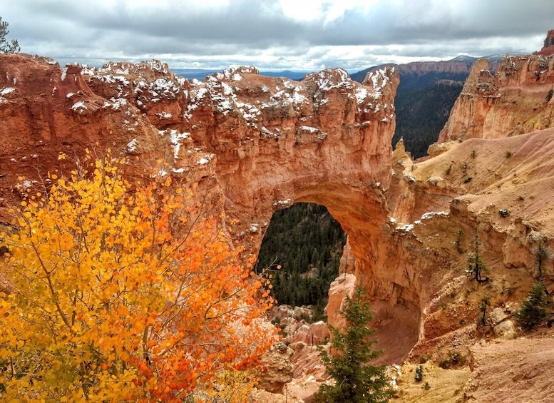 Picture 4 for Activity Bryce: Guided Sightseeing Tour of Bryce Canyon National Park