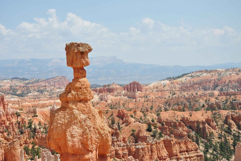 Picture 6 for Activity Bryce Canyon National Park: 3-Hour Sightseeing Tour