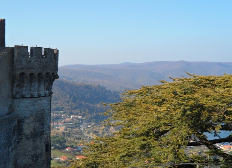 Picture 1 for Activity Bracciano: Half-Day Odescalchi Castle & Town Tour with Lunch