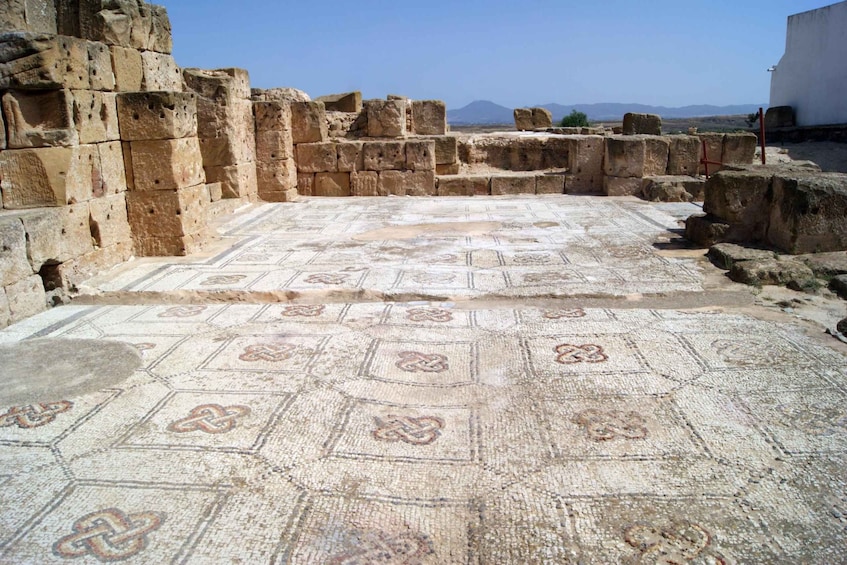 Picture 2 for Activity From Tunis: Oudhna, Testour, Djebba, and Dougga Day Tour