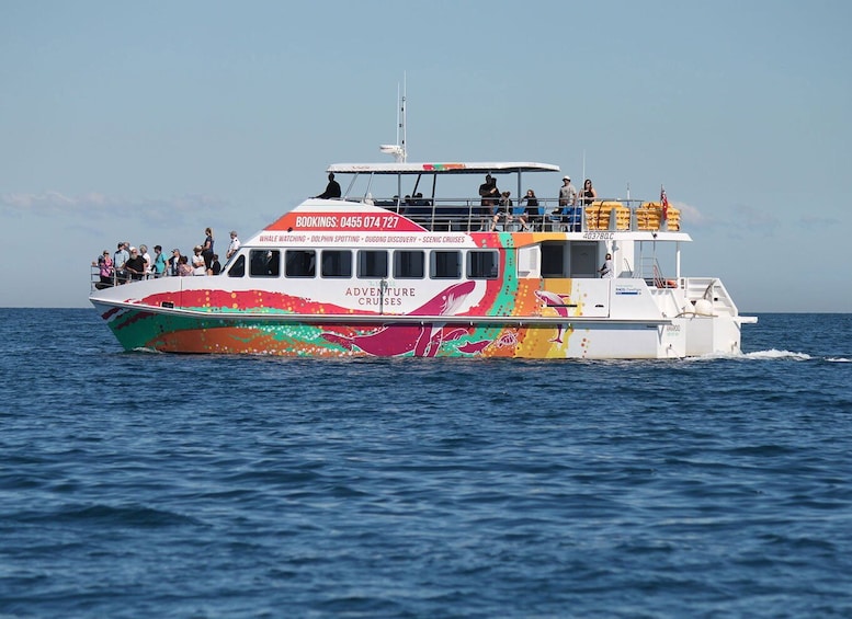 Picture 2 for Activity Hervey Bay: Sunset Cruise to Great Sandy Marine Park