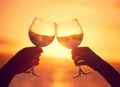 ハービーベイグレートサンディマリンパークへのサンセットクルーズ