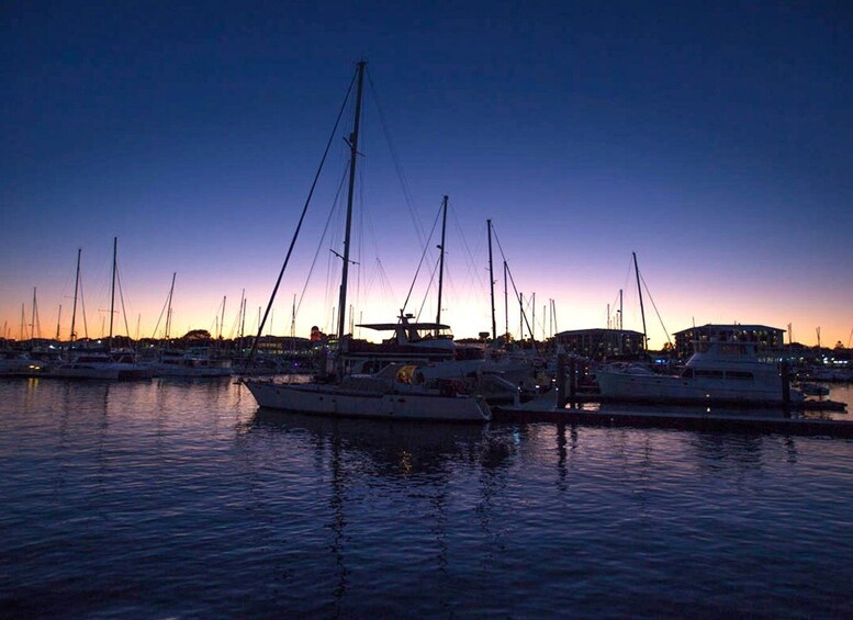 Picture 3 for Activity Hervey Bay: Sunset Cruise to Great Sandy Marine Park