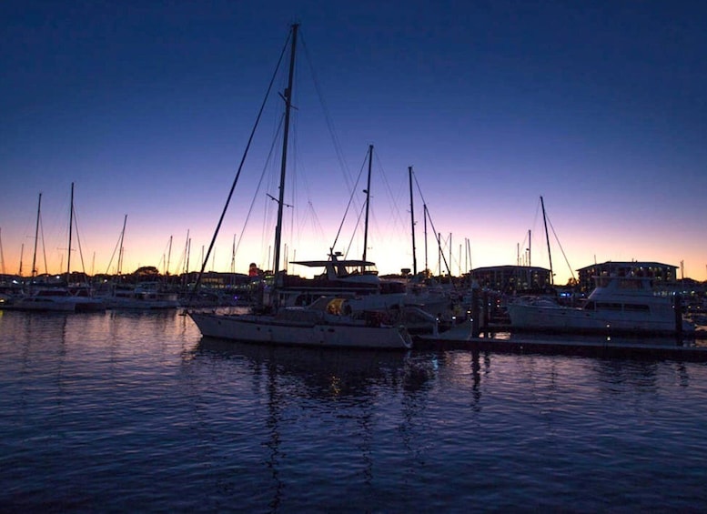 Picture 3 for Activity Hervey Bay: Sunset Cruise to Great Sandy Marine Park