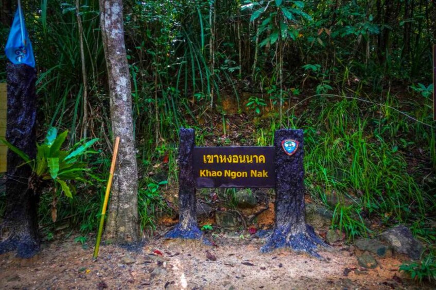 Picture 12 for Activity From Krabi: Khao Ngon Nak Trekking Experience