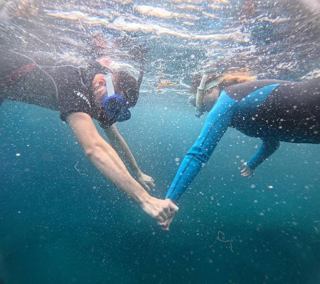 Picture 8 for Activity Tenerife: Snorkeling Trip in a Turtle Habitat