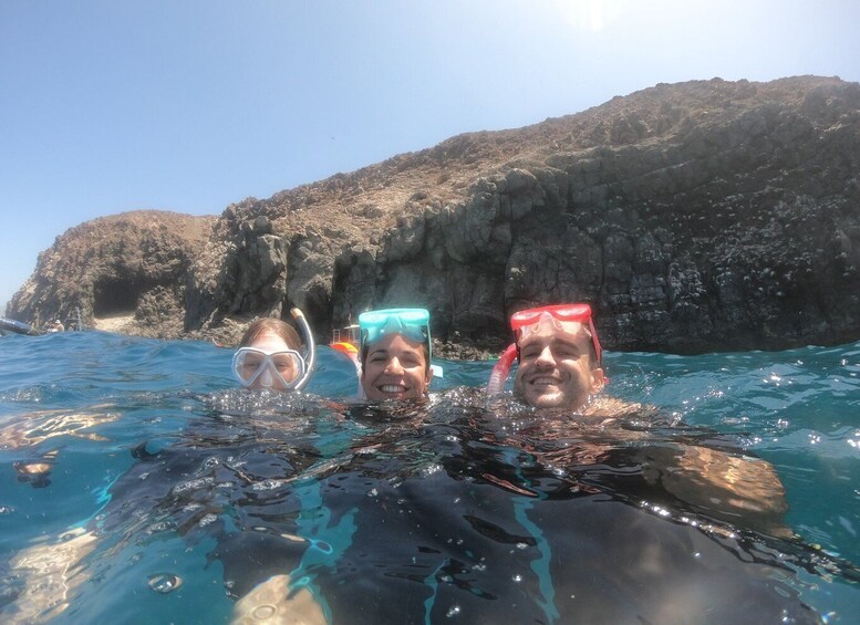 Picture 6 for Activity Tenerife: Snorkeling Trip in a Turtle Habitat