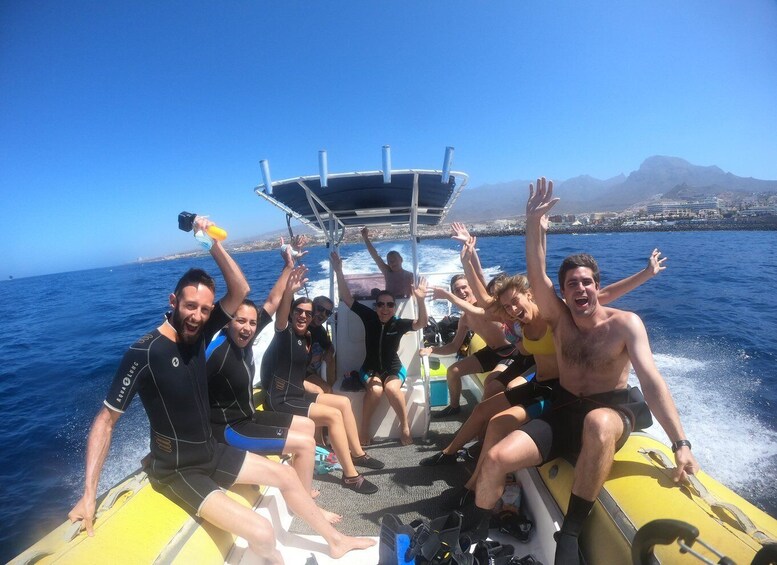 Picture 5 for Activity Tenerife: Snorkeling Trip in a Turtle Habitat