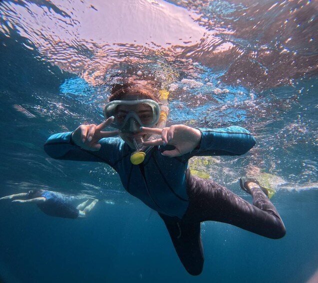 Picture 6 for Activity Tenerife: Snorkeling Trip in a Turtle Habitat