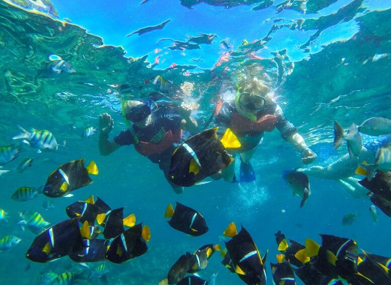 Picture 3 for Activity Vallarta: Yelapa Waterfall & Majahuitas Snorkel Adventure