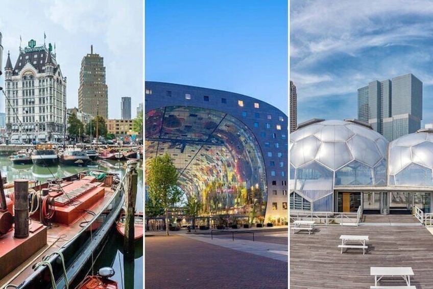 Rotterdam 2-Hour Guided Walking Tour