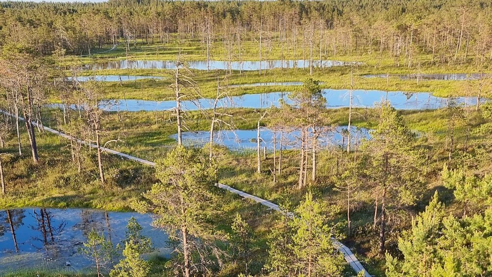 Picture 5 for Activity Tallinn: Best Estonian Nature Trails in a Day Guided Tour