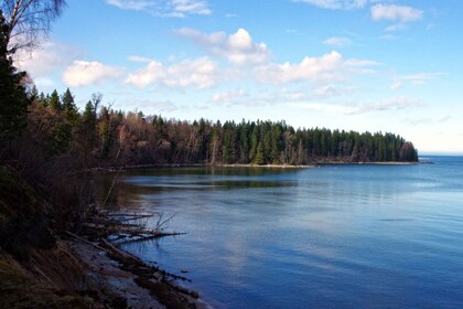 Tallinn: Best Estonian Nature Trails in a Day Guided Tour