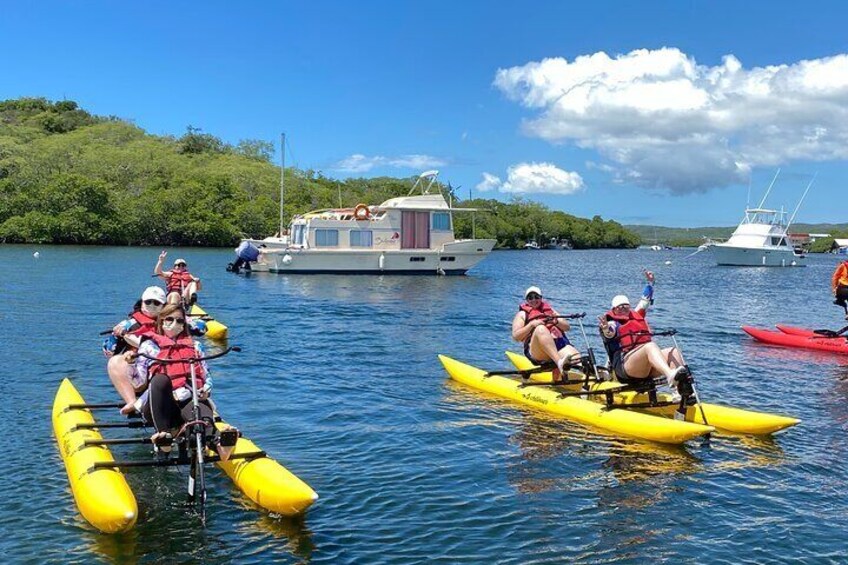 Water Bike Ride in La Parguera