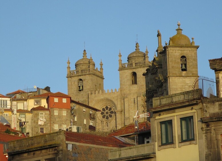 Picture 8 for Activity Full Day Porto Walking Tour: Lunch, Boat Ride & Wine Tasting